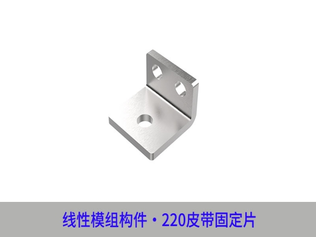 GY-220PDGD-LR - 皮带固定片